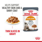 Royal Canin Hair & Skin Care Wet Cat Food Gravy - 85g