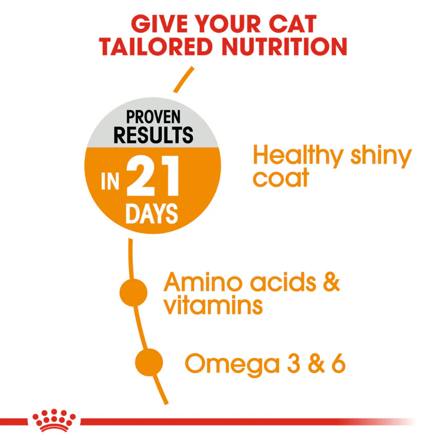 Royal Canin Hair & Skin Dry Cat Food