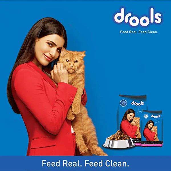 Drools Adult Dry Cat Food, Mackerel Flavor