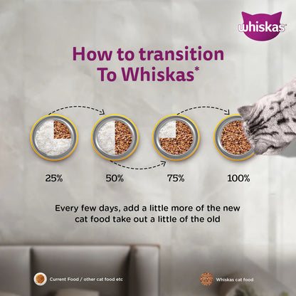 Whiskas Adult Wet Cat Food – Salmon in Gravy