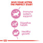 Royal Canin Second Age Kitten Dry Food