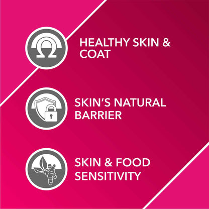 Drools Absolute Skin & Coat Syrup Supplement for Dogs - 300ml