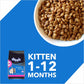 Drools Dry Food for Kittens - Ocean Fish Flavor