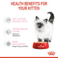 Royal Canin Loaf Wet Kitten Food — 85g