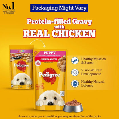 Pedigree Chicken Chunks in Gravy Puppy Wet Food — 130g
