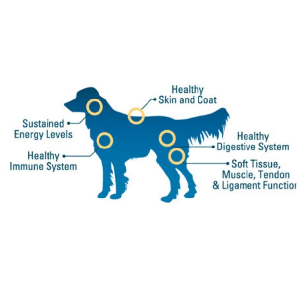 Arden Grange Chicken And Rice Mini Dog Food