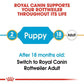 Royal Canin Rottweiler Puppy Dog Dry Food