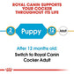 Royal Canin Cocker Spaniel Puppy Food – 3kg