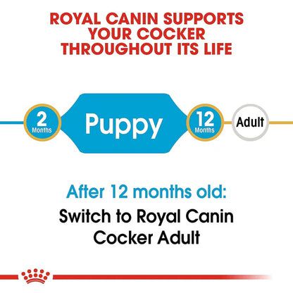 Royal Canin Cocker Spaniel Puppy Food – 3kg