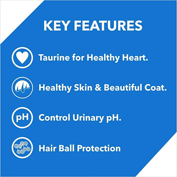 Drools Adult Dry Cat Food, Mackerel Flavor