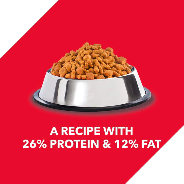Drools Chicken & Egg Dry Puppy Dog Food