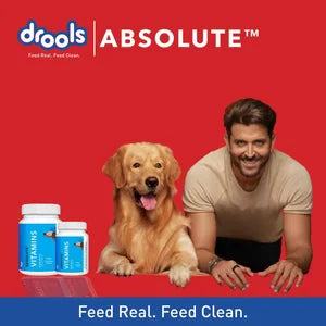 Drools Absolute Vitamin Supplement Tablets for Dogs
