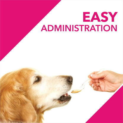 Drools Absolute Skin & Coat Syrup Supplement for Dogs - 300ml