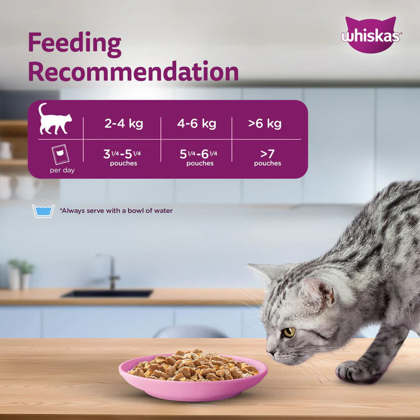 Whiskas Adult Wet Cat Food – Salmon in Gravy