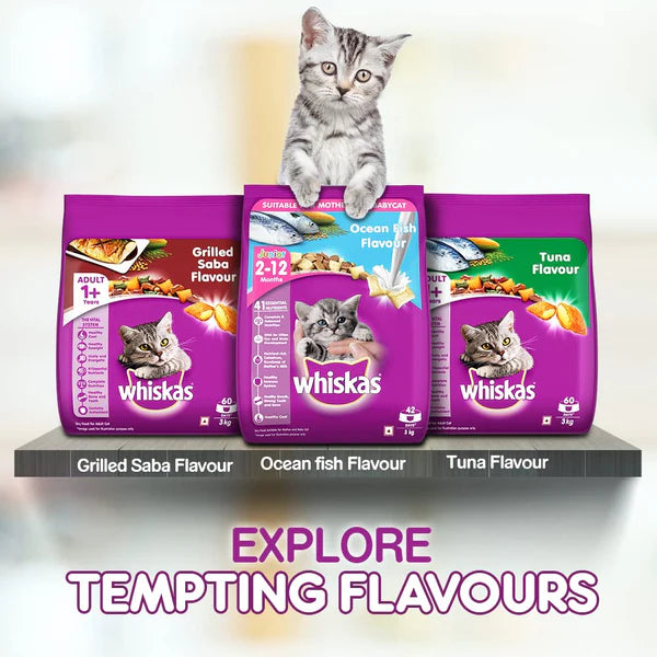Whiskas Kitten Cat Food, Mackerel