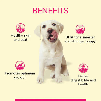 Canine Creek Wet Food for Puppy Grain Free, 150 g