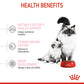 Royal Canin Mother & Baby Dry Cat Food