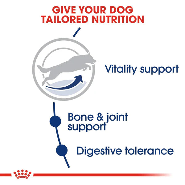 Royal Canin Maxi Adult 5+ Dog Food - 4 kg