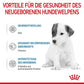 Royal Canin Baby Dog Milk Powder – 300 g