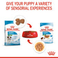 Royal Canin Mini Puppy Gravy Wet Dog Food – 85g