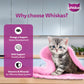 Whiskas Tasty Mix Wet Food for Kittens with Chicken, Tuna, & Sweet Potato in Gravy