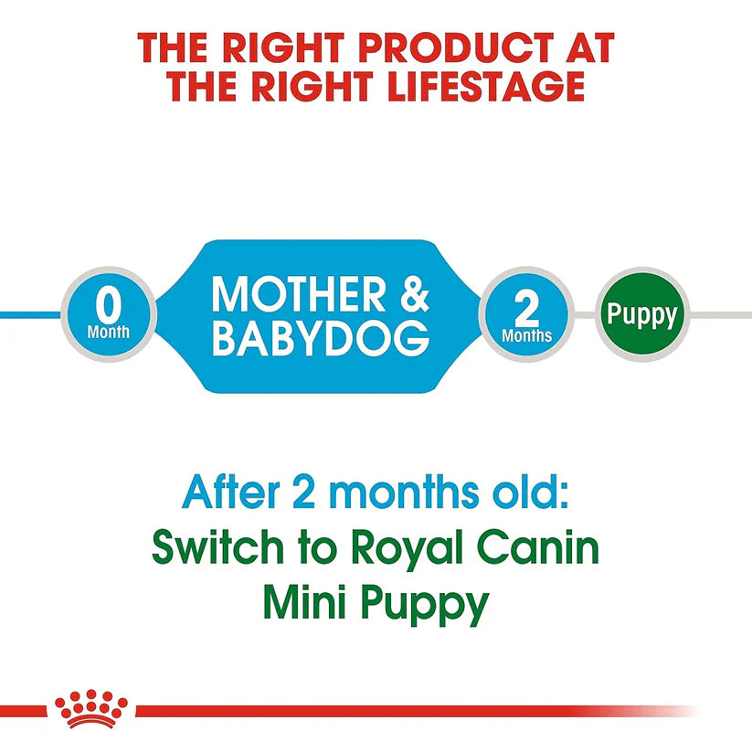 Royal Canin Mini Starter Dry Dog Food