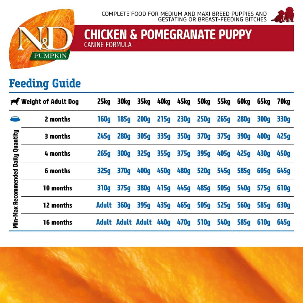Farmina N&D Pumpkin Chicken Puppy Food - Medium & Maxi Breed