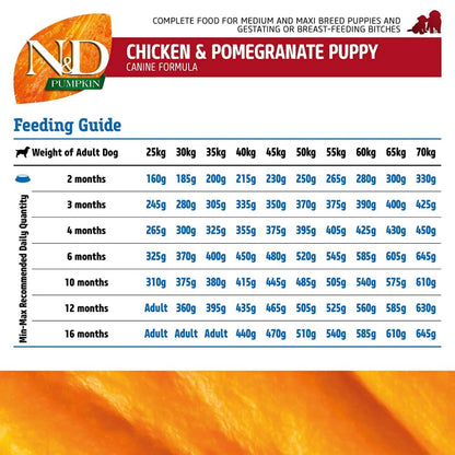 Farmina N&D Pumpkin Chicken Puppy Food - Medium & Maxi Breed