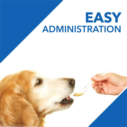 Drools Absolute Vitamin Syrup Supplement for Dogs - 300ml