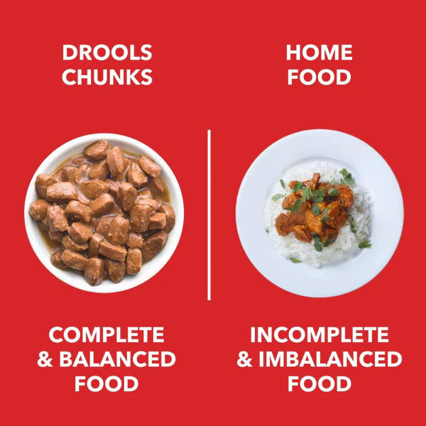 Drools Wet Adult Dog Food – Real Chicken & Chicken Liver Chunks in Gravy, 80g