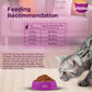 Whiskas Chicken Adult Dry Cat Food