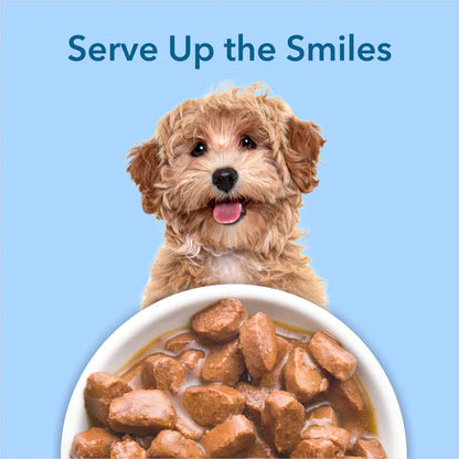 Purepet Gravy Chunks Wet Dog Food – Chicken & Vegetable Flavour, 70 g