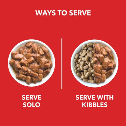 Drools Adult Dog Wet Food Real Chicken and Chicken Liver Chunks in Gravy