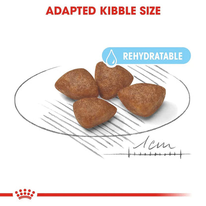 Royal Canin Mini Starter Dry Dog Food
