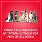 Purepet Chicken & Vegetable Adult Dry Dog Food