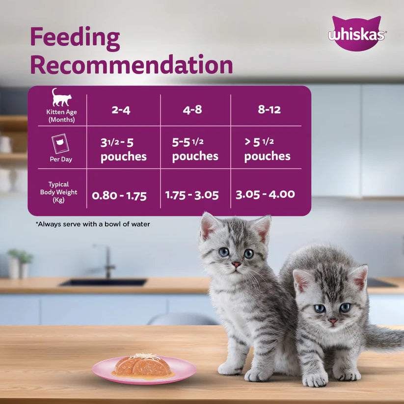 Whiskas Wet Food for Junior Kittens - Mackerel Jelly (2-12 Months)