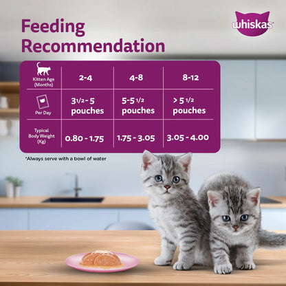 Whiskas Wet Food for Junior Kittens - Mackerel Jelly (2-12 Months)