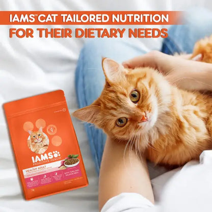 IAMS Proactive Health Healthy Adult (1+ Years) Tuna & Salmon Meal Dry Premium Cat Food