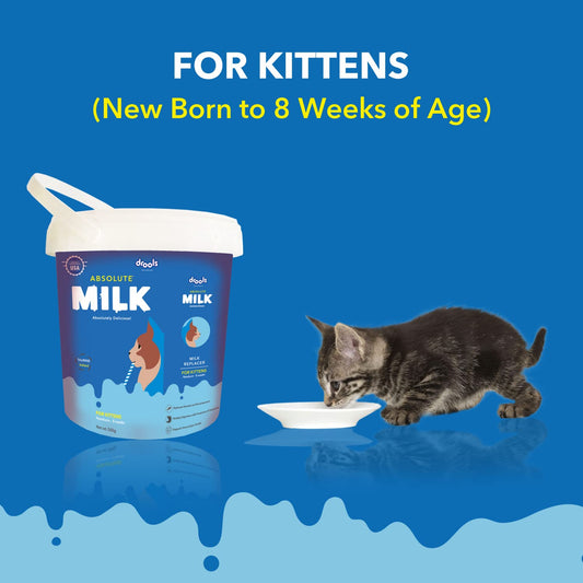 Drools Absolute Kitten Milk Cat Supplement – 500g