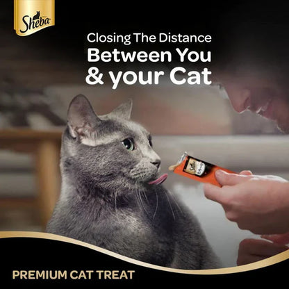 Sheba Tuna Flavor and Tuna & Prawn Maguro Selection Melty Premium Cat Treats, 48 g