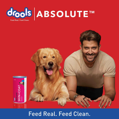 Drools Absolute Skin & Coat Syrup Supplement for Dogs - 300ml
