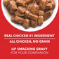Drools Wet Adult Dog Food – Real Chicken & Chicken Liver Chunks in Gravy, 80g