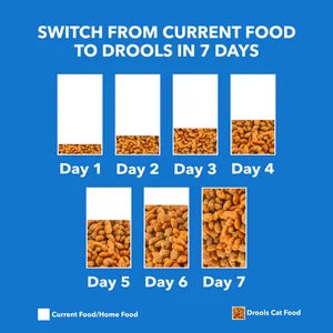 Drools Real Chicken Adult Cat Dry Food