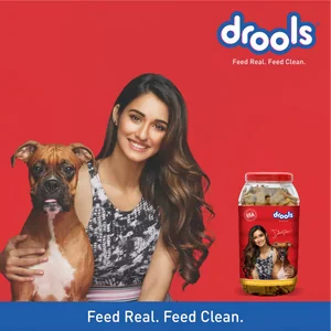 Drools Chicken and Egg Biscuit Dog Treats 400g