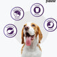 Fidele Plus Adult Small & Medium Dog Dry Food