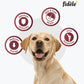 Fidele Plus Adult Light & Senior Dog Dry Food