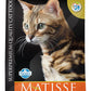 Matisse Neutered Salmon Dry Cat Food