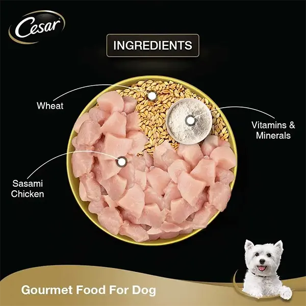 Cesar Premium Sasami Gourmet Meal Adult Wet Dog Food – 70g