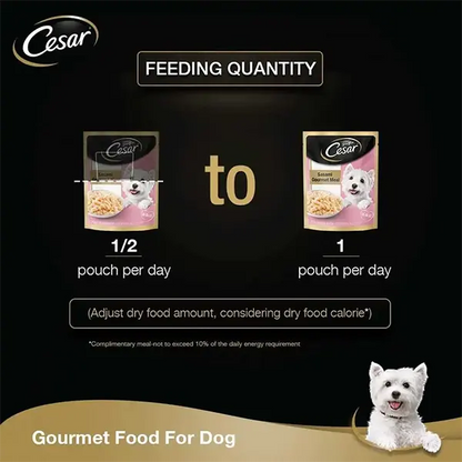 Cesar Premium Sasami Gourmet Meal Adult Wet Dog Food – 70g
