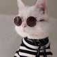 Cat Swag Glasses